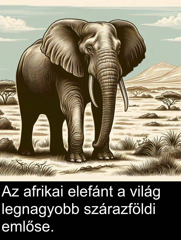 afrikai: Az afrikai elefánt a világ legnagyobb szárazföldi emlőse.
