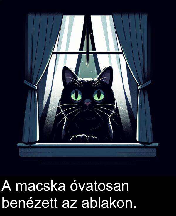 macska: A macska óvatosan benézett az ablakon.