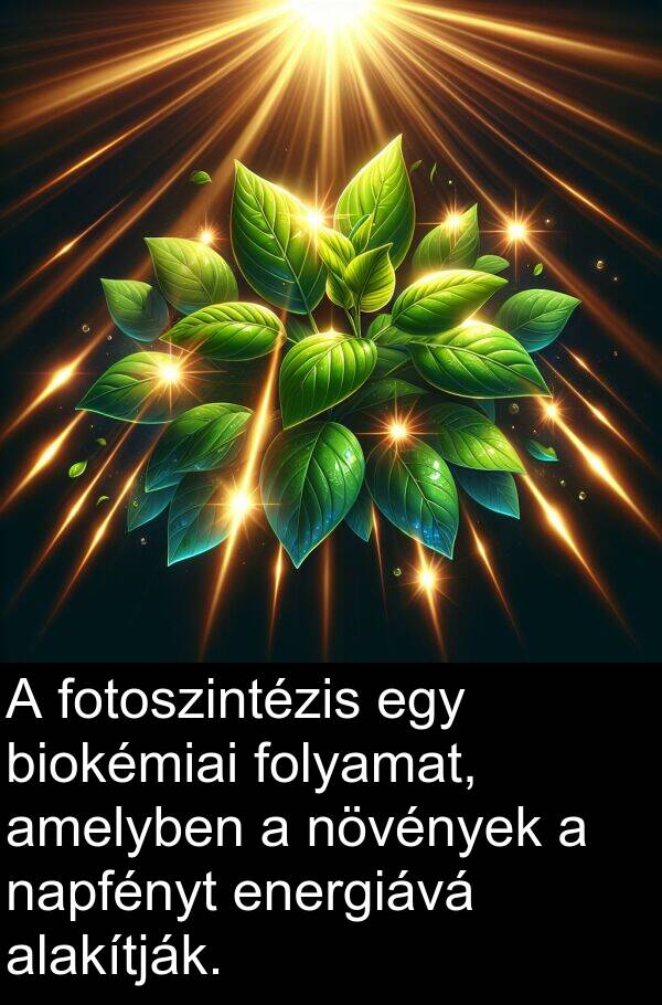 napfényt: A fotoszintézis egy biokémiai folyamat, amelyben a növények a napfényt energiává alakítják.