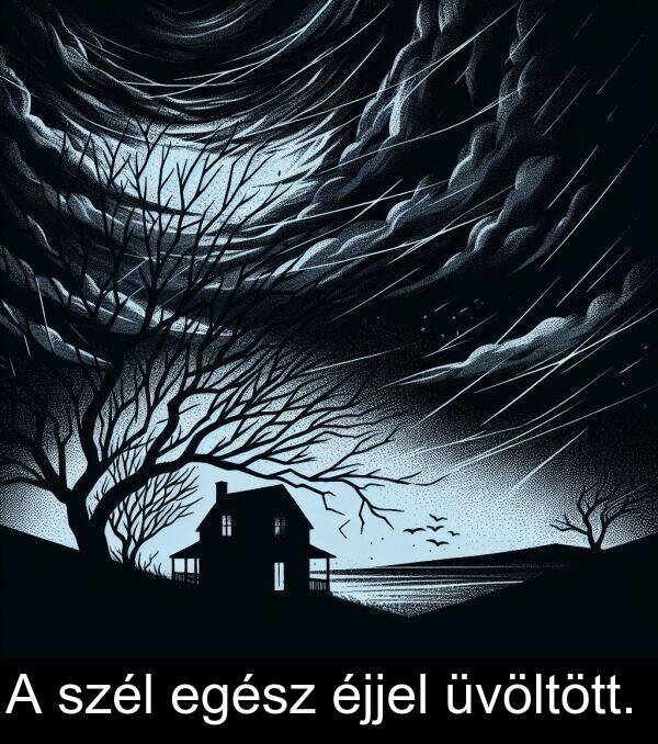 szél: A szél egész éjjel üvöltött.