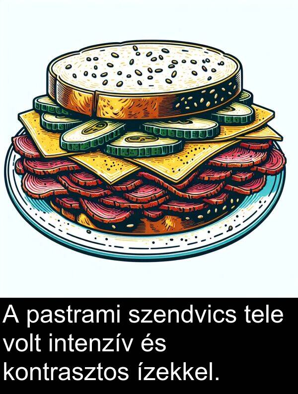 pastrami: A pastrami szendvics tele volt intenzív és kontrasztos ízekkel.