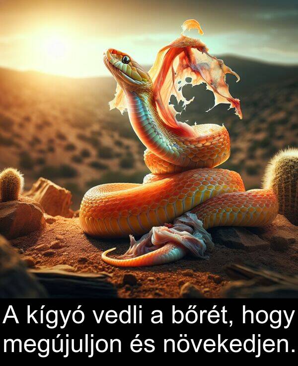 megújuljon: A kígyó vedli a bőrét, hogy megújuljon és növekedjen.