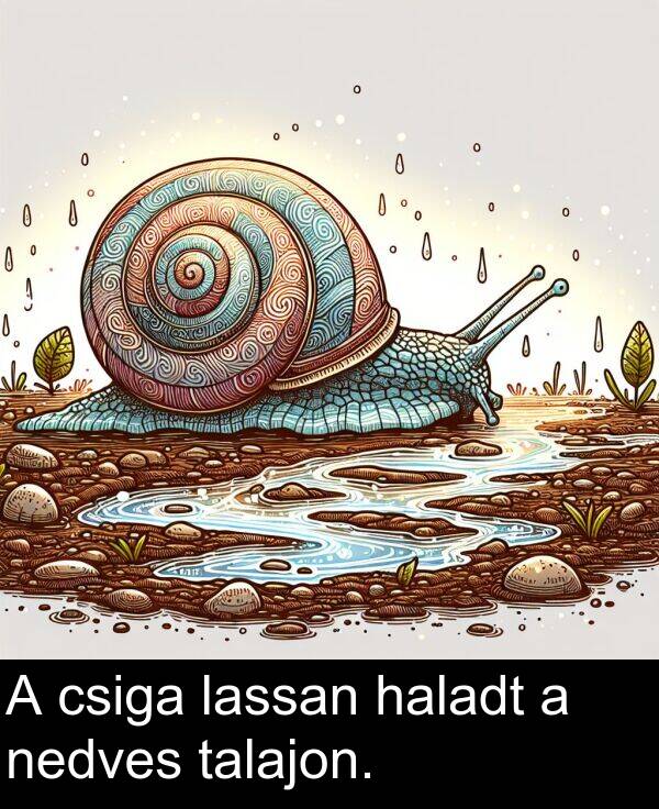 csiga: A csiga lassan haladt a nedves talajon.