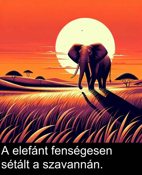 sétált: A elefánt fenségesen sétált a szavannán.