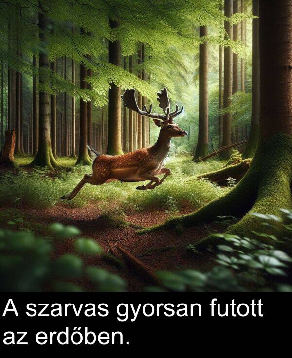 szarvas: A szarvas gyorsan futott az erdőben.