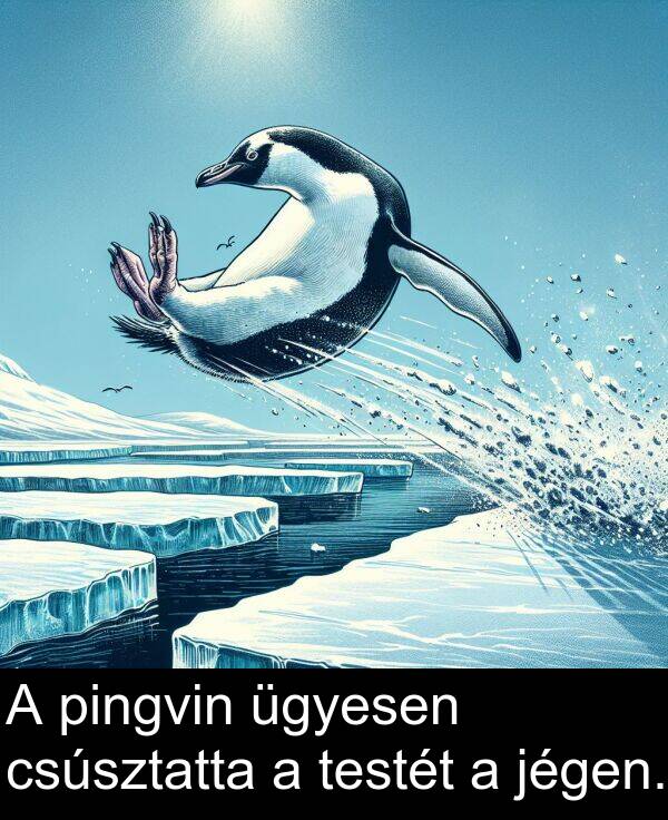 jégen: A pingvin ügyesen csúsztatta a testét a jégen.