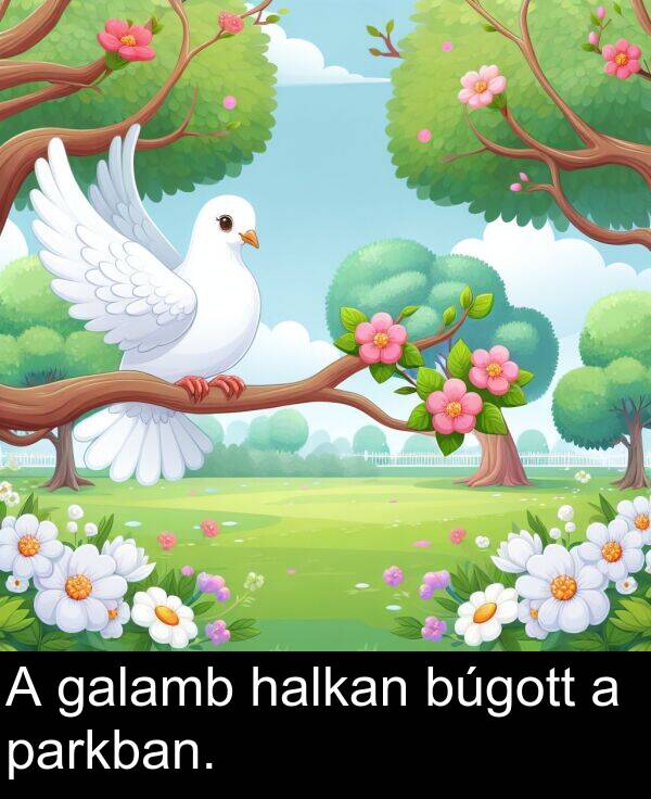 búgott: A galamb halkan búgott a parkban.