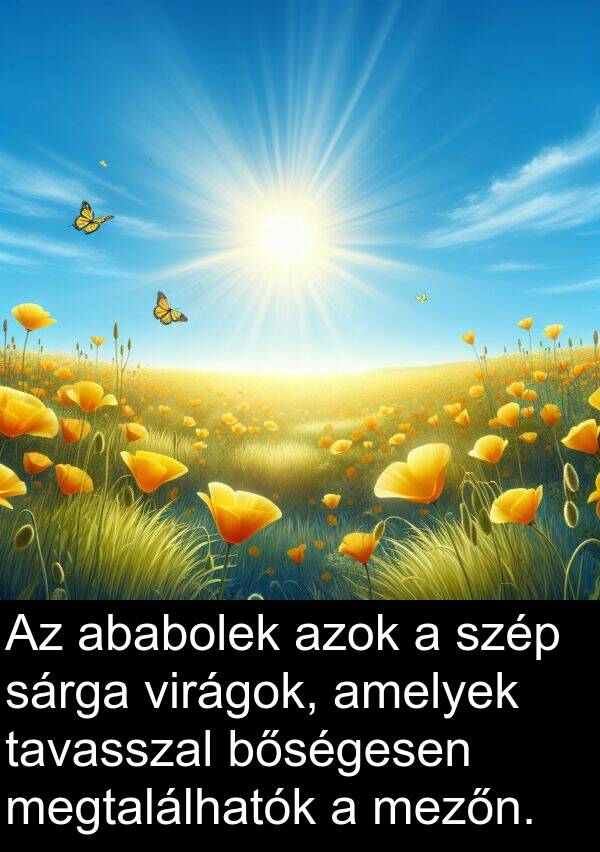 ababolek: Az ababolek azok a szép sárga virágok, amelyek tavasszal bőségesen megtalálhatók a mezőn.