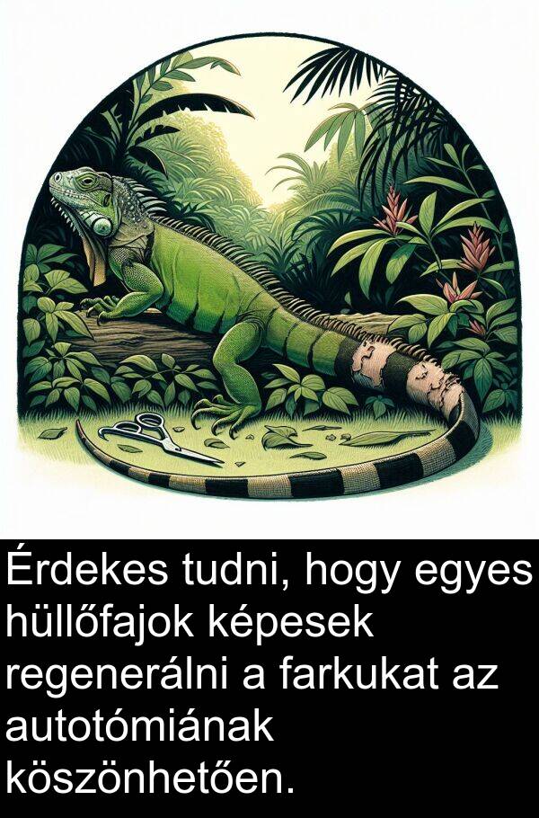 tudni: Érdekes tudni, hogy egyes hüllőfajok képesek regenerálni a farkukat az autotómiának köszönhetően.