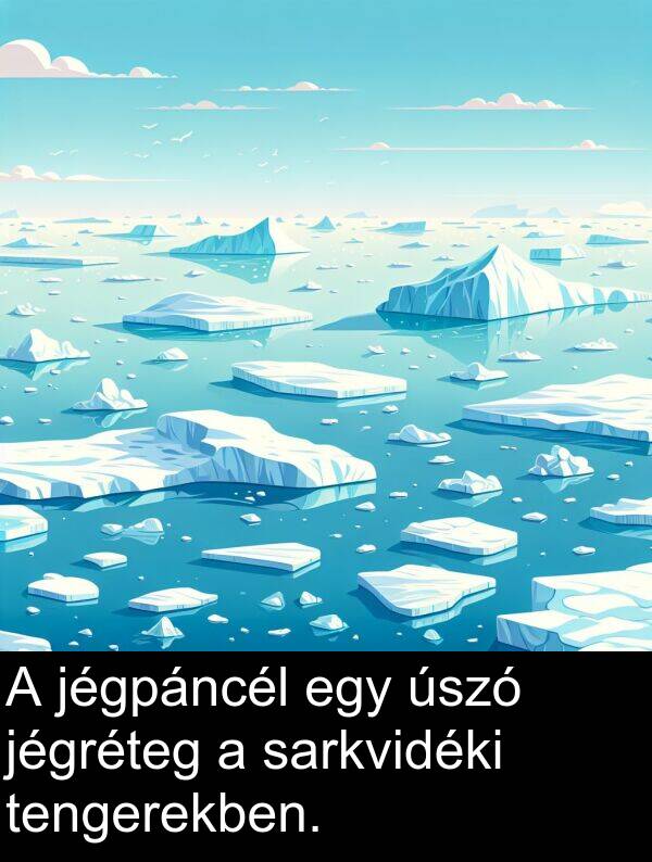 sarkvidéki: A jégpáncél egy úszó jégréteg a sarkvidéki tengerekben.
