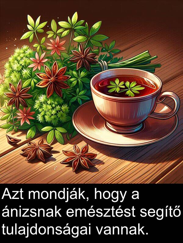 segítő: Azt mondják, hogy a ánizsnak emésztést segítő tulajdonságai vannak.