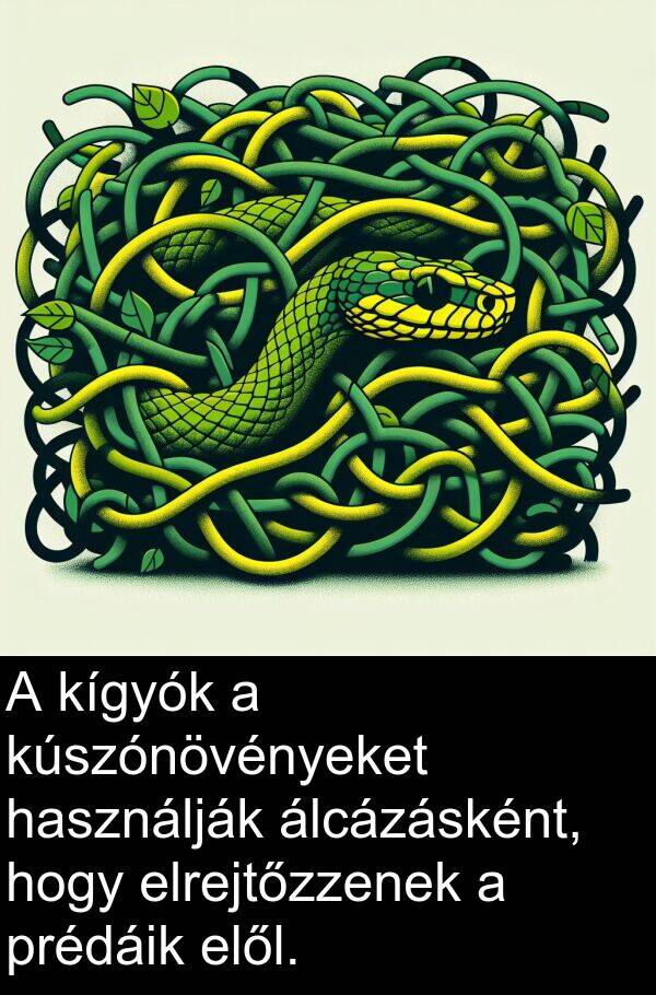 prédáik: A kígyók a kúszónövényeket használják álcázásként, hogy elrejtőzzenek a prédáik elől.