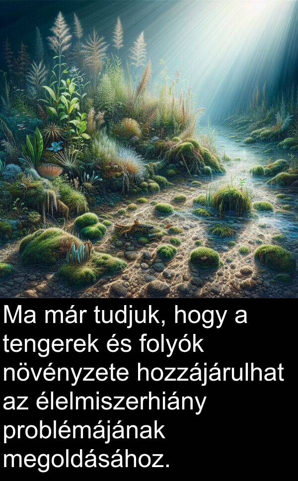 már: Ma már tudjuk, hogy a tengerek és folyók növényzete hozzájárulhat az élelmiszerhiány problémájának megoldásához.