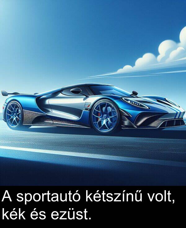 sportautó: A sportautó kétszínű volt, kék és ezüst.