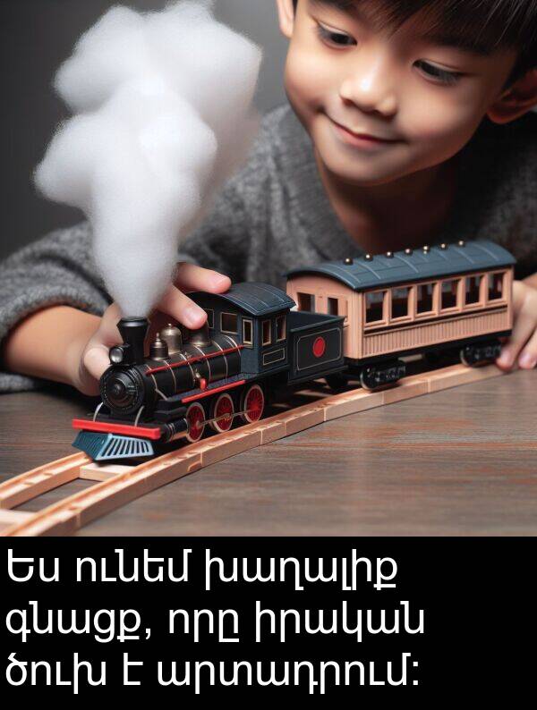գնացք: Ես ունեմ խաղալիք գնացք, որը իրական ծուխ է արտադրում: