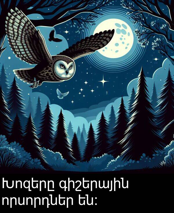 որսորդներ: Խոզերը գիշերային որսորդներ են: