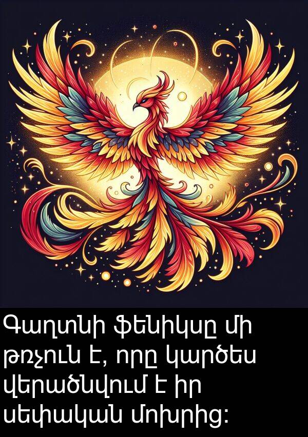 թռչուն: Գաղտնի ֆենիկսը մի թռչուն է, որը կարծես վերածնվում է իր սեփական մոխրից:
