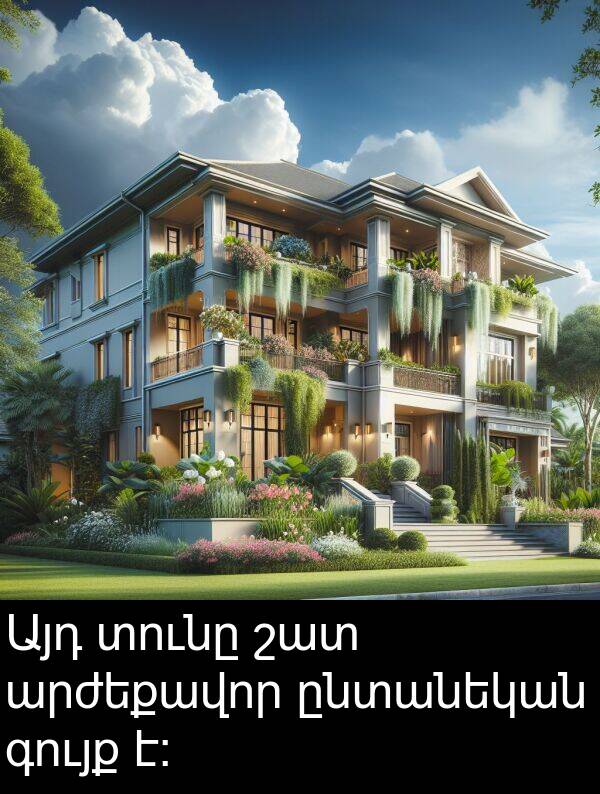 գույք: Այդ տունը շատ արժեքավոր ընտանեկան գույք է։