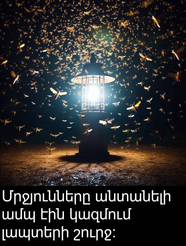 կազմում: Մրջյունները անտանելի ամպ էին կազմում լապտերի շուրջ։