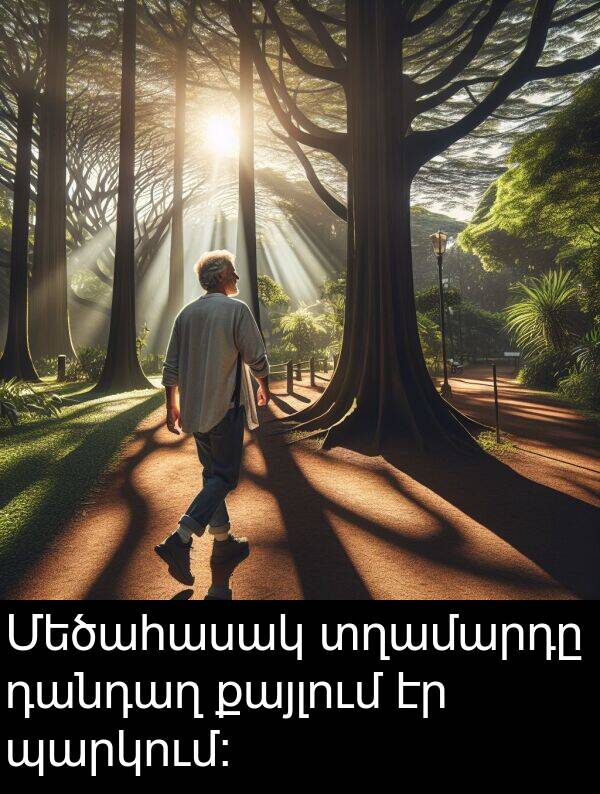 քայլում: Մեծահասակ տղամարդը դանդաղ քայլում էր պարկում։