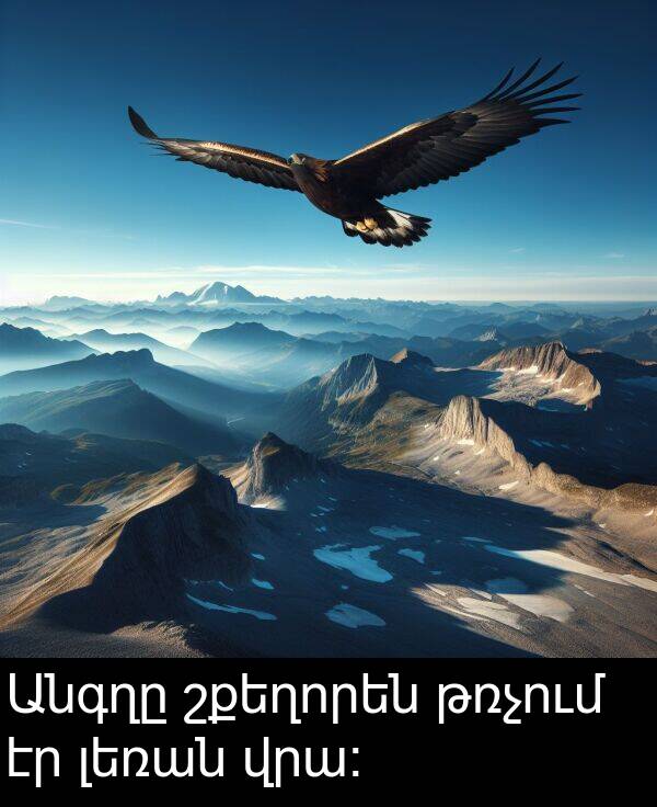 թռչում: Անգղը շքեղորեն թռչում էր լեռան վրա։