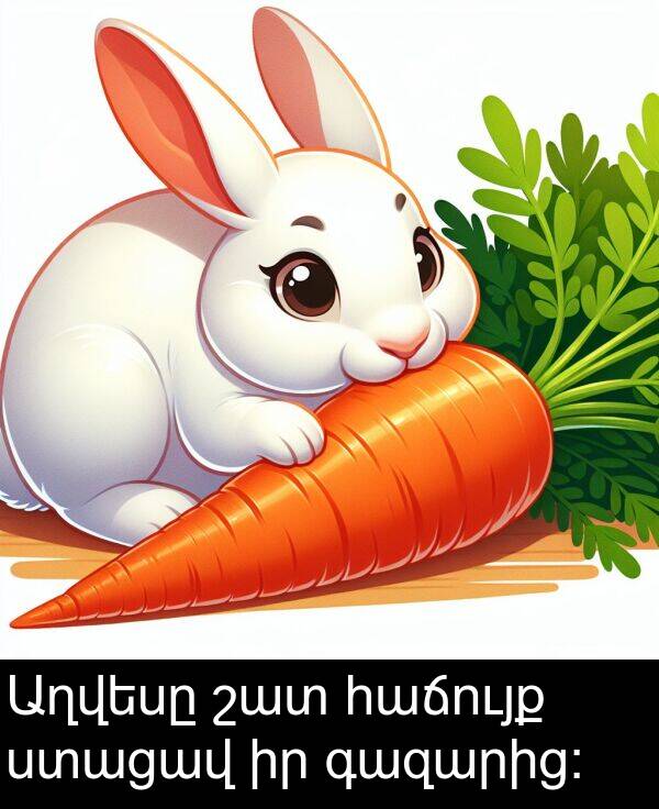 հաճույք: Աղվեսը շատ հաճույք ստացավ իր գազարից: