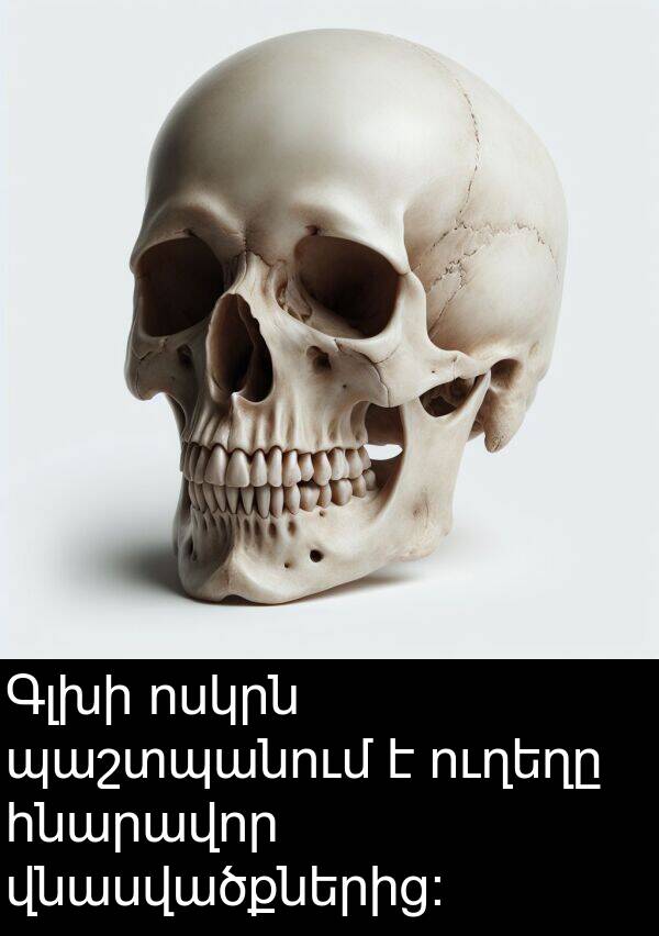 հնարավոր: Գլխի ոսկրն պաշտպանում է ուղեղը հնարավոր վնասվածքներից: