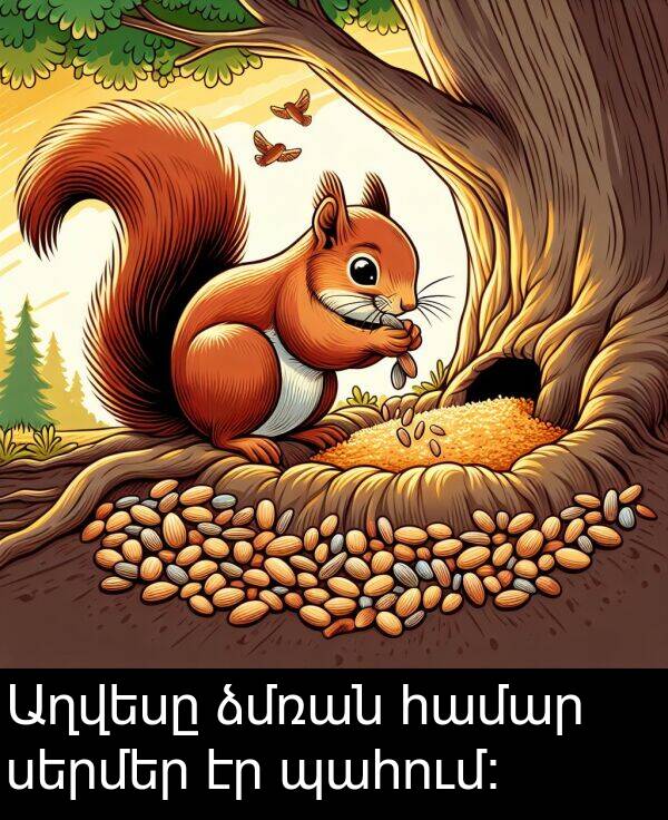 պահում։: Աղվեսը ձմռան համար սերմեր էր պահում։