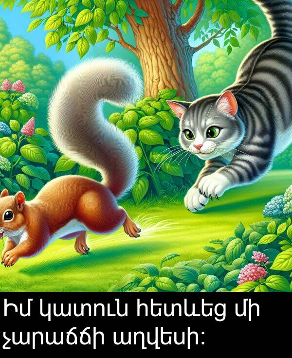 կատուն: Իմ կատուն հետևեց մի չարաճճի աղվեսի: