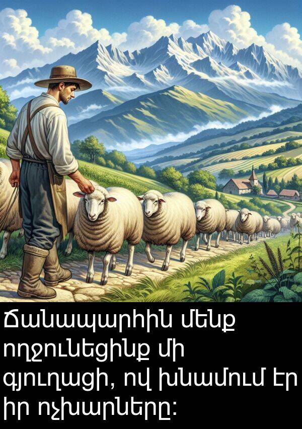 ոչխարները: Ճանապարհին մենք ողջունեցինք մի գյուղացի, ով խնամում էր իր ոչխարները: