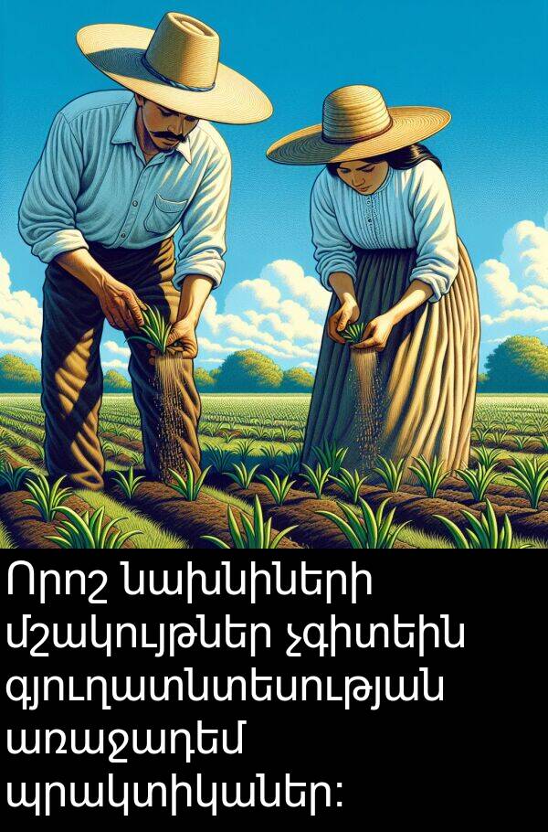 նախնիների: Որոշ նախնիների մշակույթներ չգիտեին գյուղատնտեսության առաջադեմ պրակտիկաներ:
