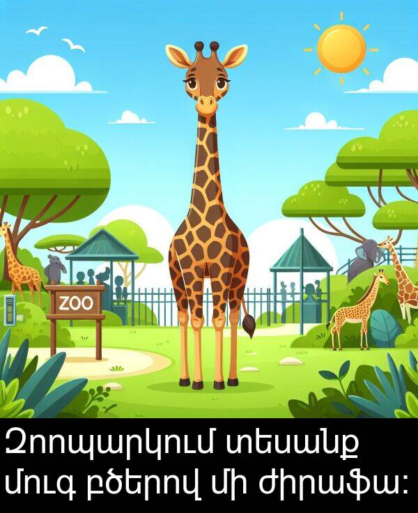 բծերով: Զոոպարկում տեսանք մուգ բծերով մի ժիրաֆա: