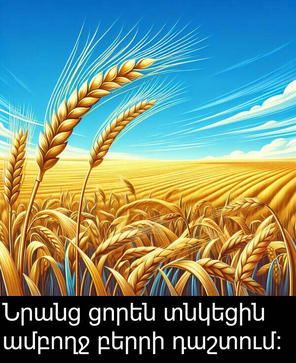 բերրի: Նրանց ցորեն տնկեցին ամբողջ բերրի դաշտում։