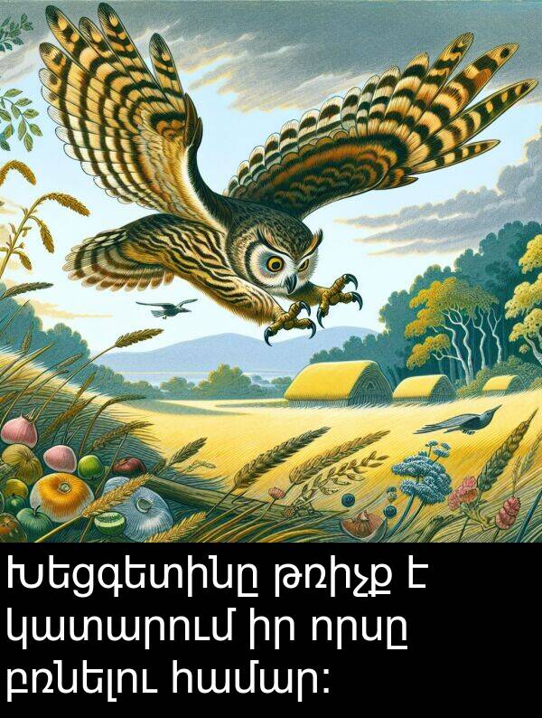 բռնելու: Խեցգետինը թռիչք է կատարում իր որսը բռնելու համար: