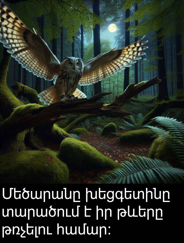 խեցգետինը: Մեծարանը խեցգետինը տարածում է իր թևերը թռչելու համար։