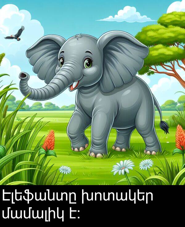 մամալիկ: Էլեֆանտը խոտակեր մամալիկ է։