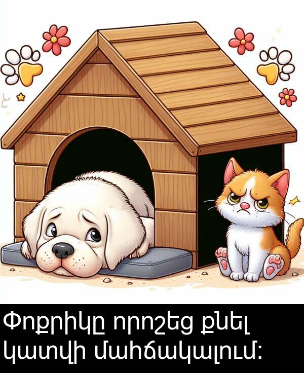 քնել: Փոքրիկը որոշեց քնել կատվի մահճակալում։