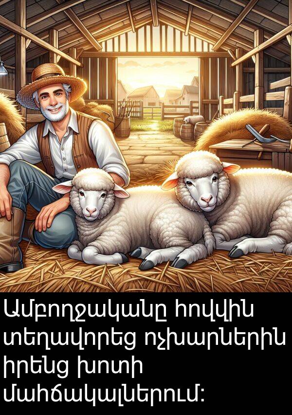 տեղավորեց: Ամբողջականը հովվին տեղավորեց ոչխարներին իրենց խոտի մահճակալներում: