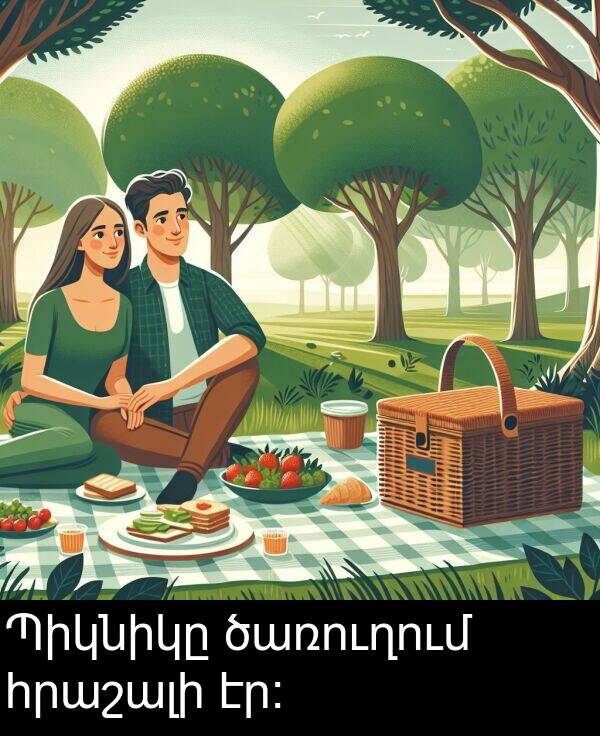 ծառուղում: Պիկնիկը ծառուղում հրաշալի էր։
