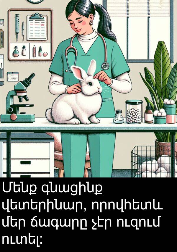 գնացինք: Մենք գնացինք վետերինար, որովհետև մեր ճագարը չէր ուզում ուտել։