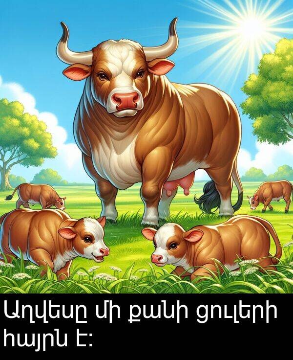 քանի: Աղվեսը մի քանի ցուլերի հայրն է։