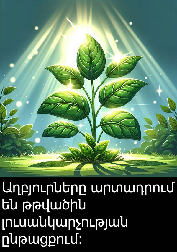 լուսանկարչության: Աղբյուրները արտադրում են թթվածին լուսանկարչության ընթացքում: