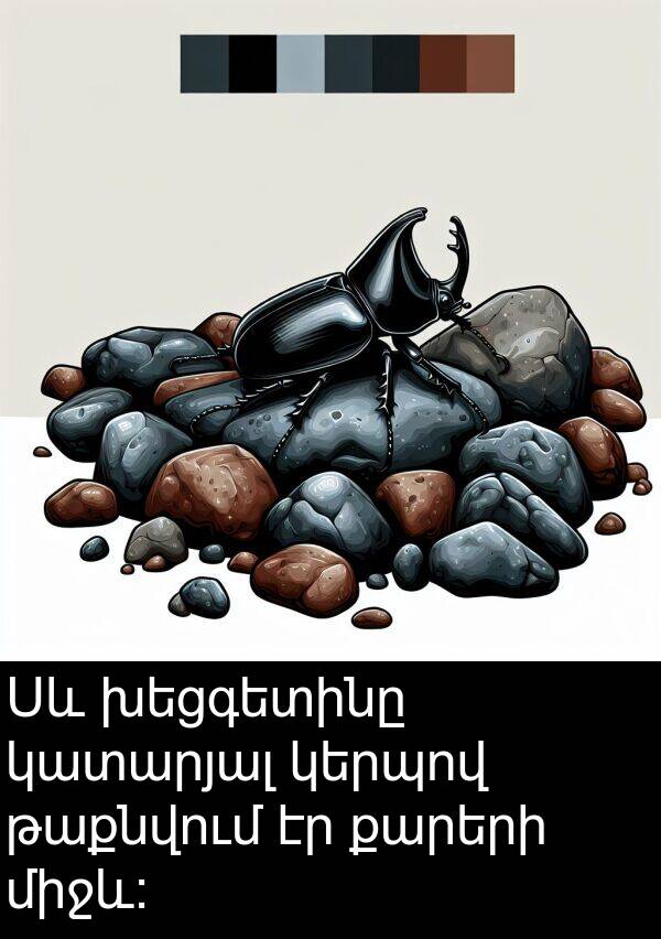 խեցգետինը: Սև խեցգետինը կատարյալ կերպով թաքնվում էր քարերի միջև: