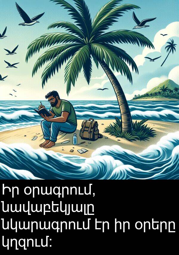 օրերը: Իր օրագրում, նավաբեկյալը նկարագրում էր իր օրերը կղզում։