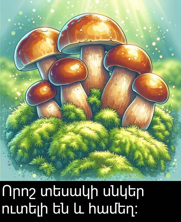 տեսակի: Որոշ տեսակի սնկեր ուտելի են և համեղ: