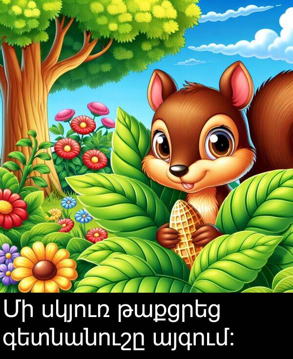 սկյուռ: Մի սկյուռ թաքցրեց գետնանուշը այգում։