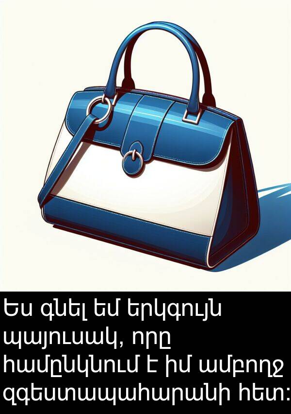 գնել: Ես գնել եմ երկգույն պայուսակ, որը համընկնում է իմ ամբողջ զգեստապահարանի հետ: