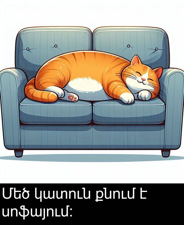 քնում: Մեծ կատուն քնում է սոֆայում։