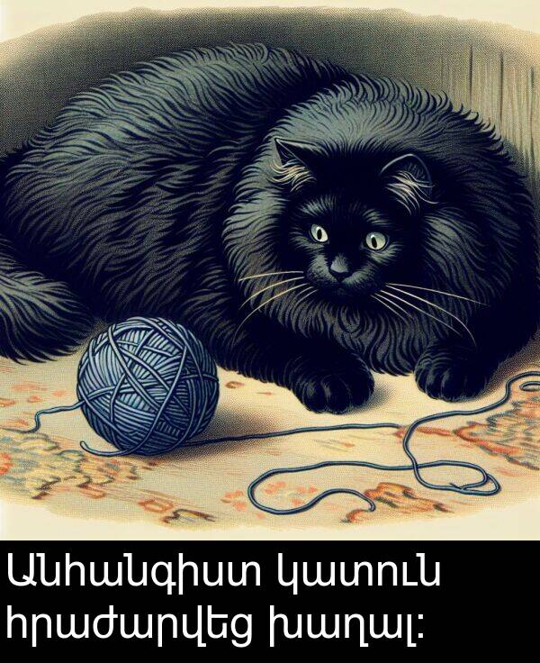 կատուն: Անհանգիստ կատուն հրաժարվեց խաղալ։