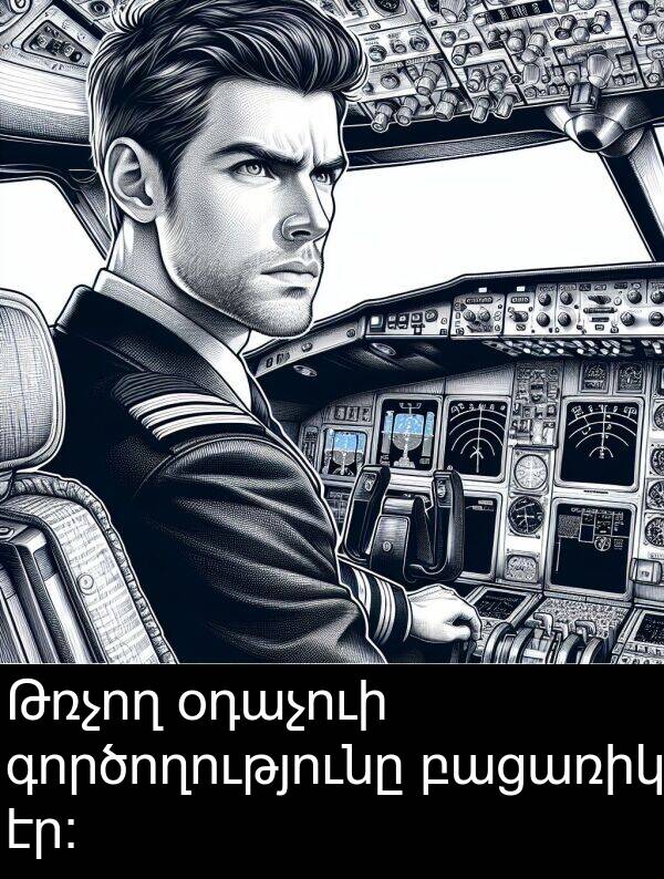գործողությունը: Թռչող օդաչուի գործողությունը բացառիկ էր։